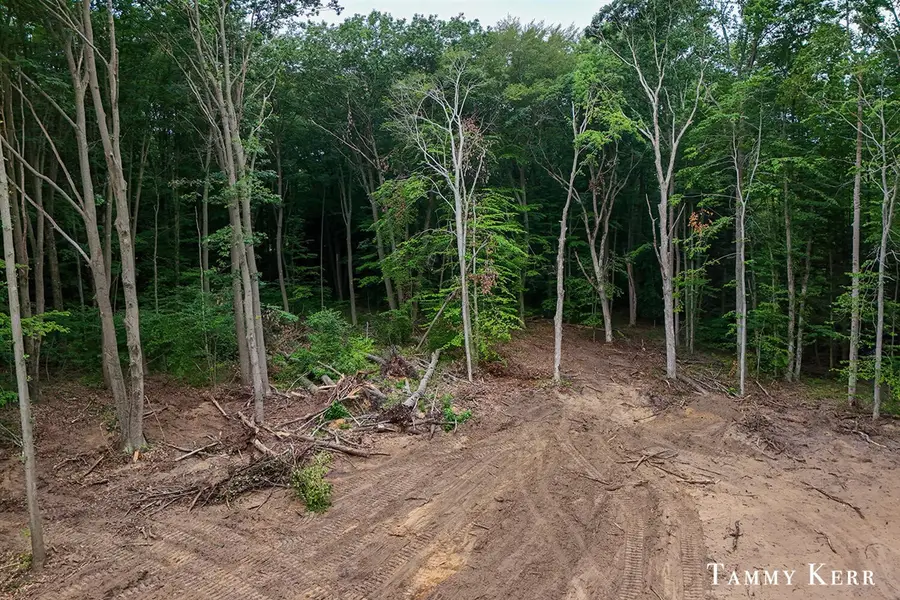 63rd, Saugatuck, MI 49453 - #3
