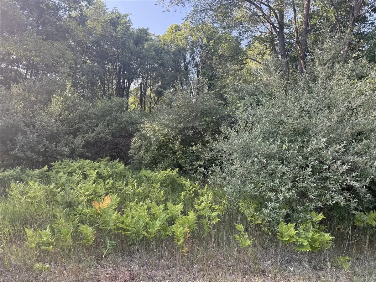 6380 Clubhouse Dr East, Stanwood, MI 49346 - #1