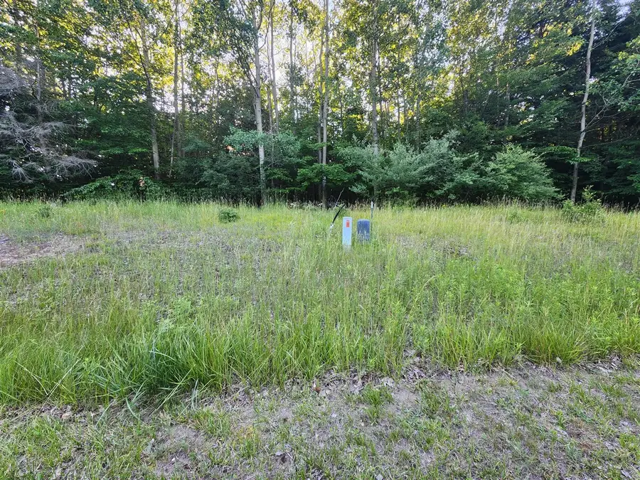 9500 Moon Ridge, Onekama, MI 49675 - #2