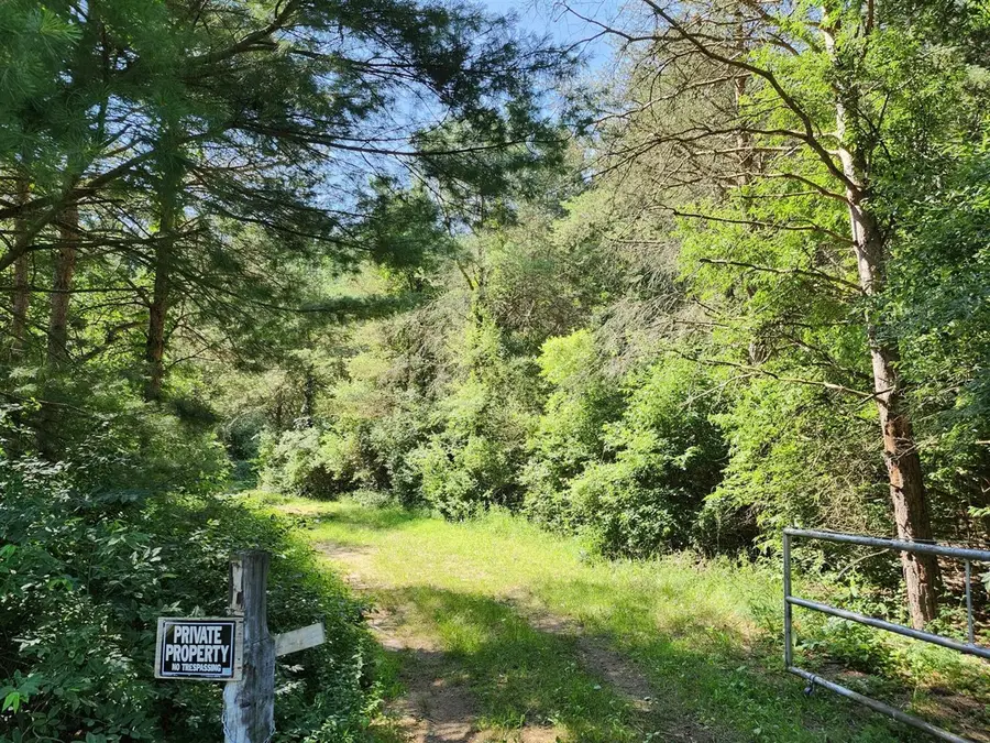 2867 E Hawley, Custer, MI 49405 - #2
