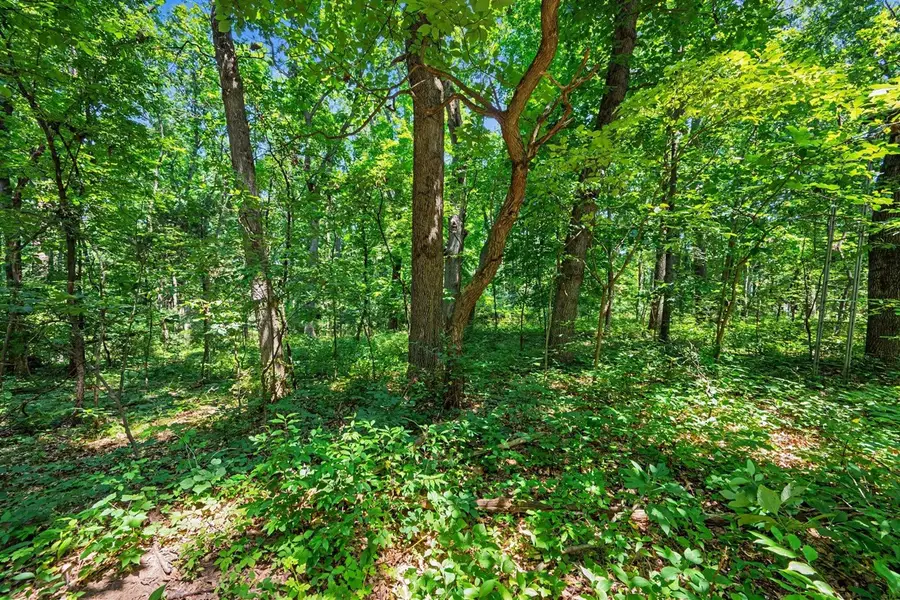 9950 W P, Kalamazoo, MI 49009 - #3