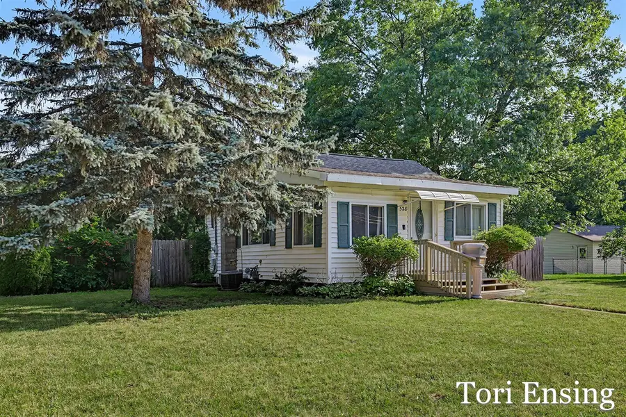 528 W Montcalm, Greenville, MI 48838 - #2