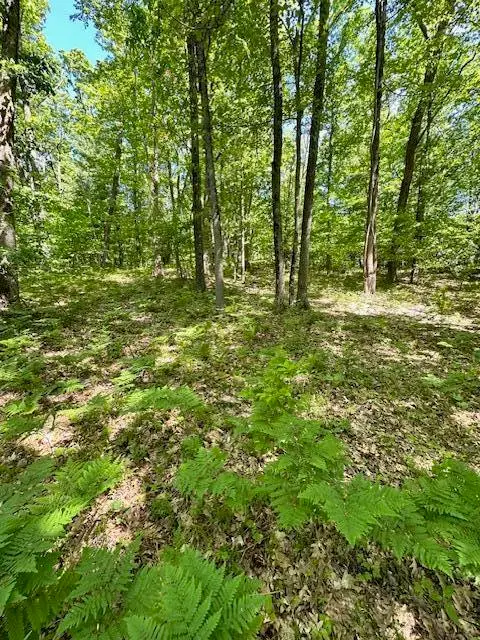 Par A 15 Mile, Big Rapids, MI 49307 - #1