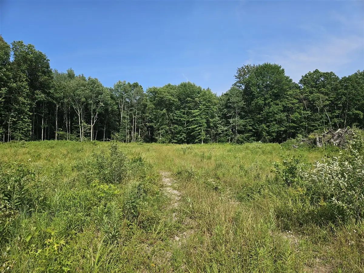 V/L 54th, Fennville, MI 49408 - #1