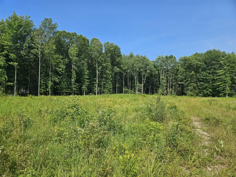 V/L 54th, Fennville, MI 49408 - #2