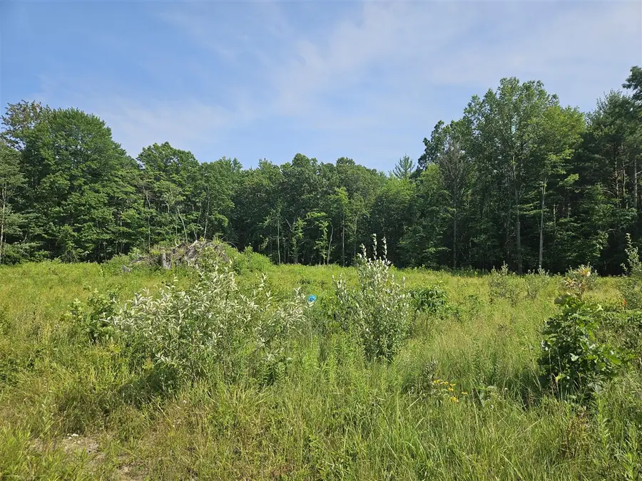 V/L 54th, Fennville, MI 49408 - #3