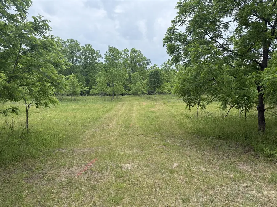 115 40th, Allegan, MI 49010 - #3