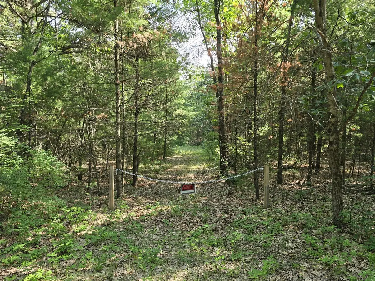 VL E Michland Path, White Cloud, MI 49349 - #1