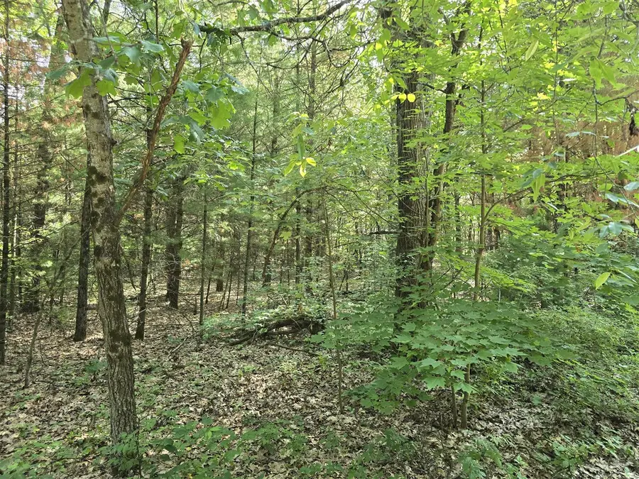 VL E Michland Path, White Cloud, MI 49349 - #2