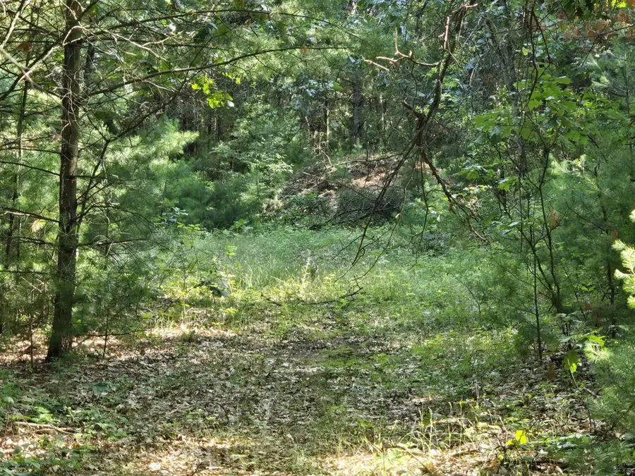 VL E Michland Path, White Cloud, MI 49349 - #3