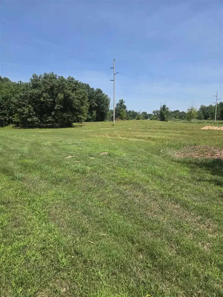 H, Albion, MI 49224 - #2