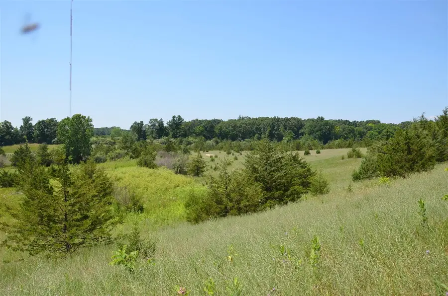 N Payne Lake, Middleville, MI 49333 - #2