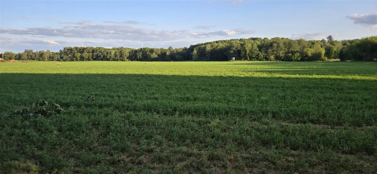 11852 Rooksby, Sand Lake, MI 49343 - #1