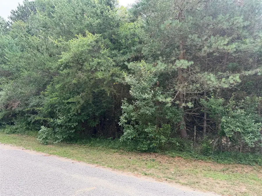 904 N White Birch Dr, Ludington, MI 49431 - #3