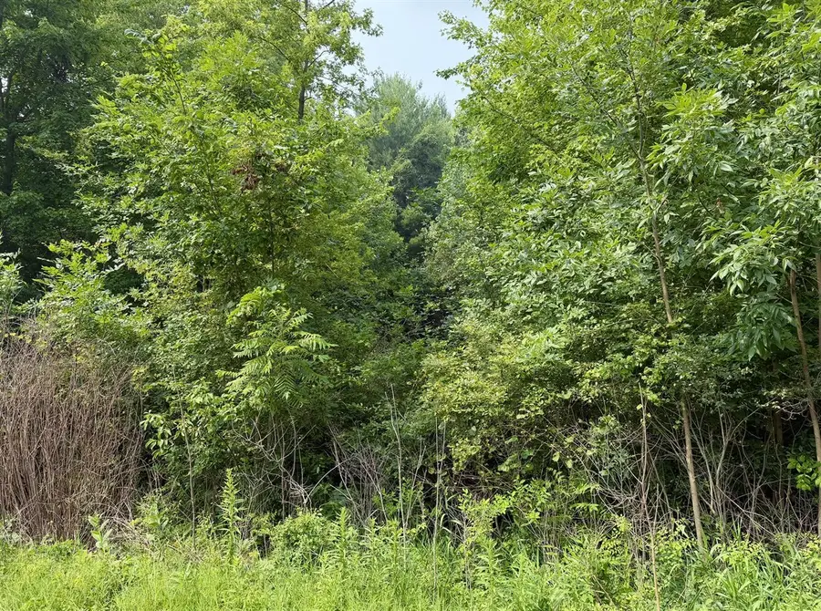 V/L 70444 16th, South Haven, MI 49090 - #2