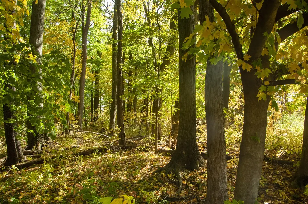 6862 N Nature, Galena, IN 46350 - #1