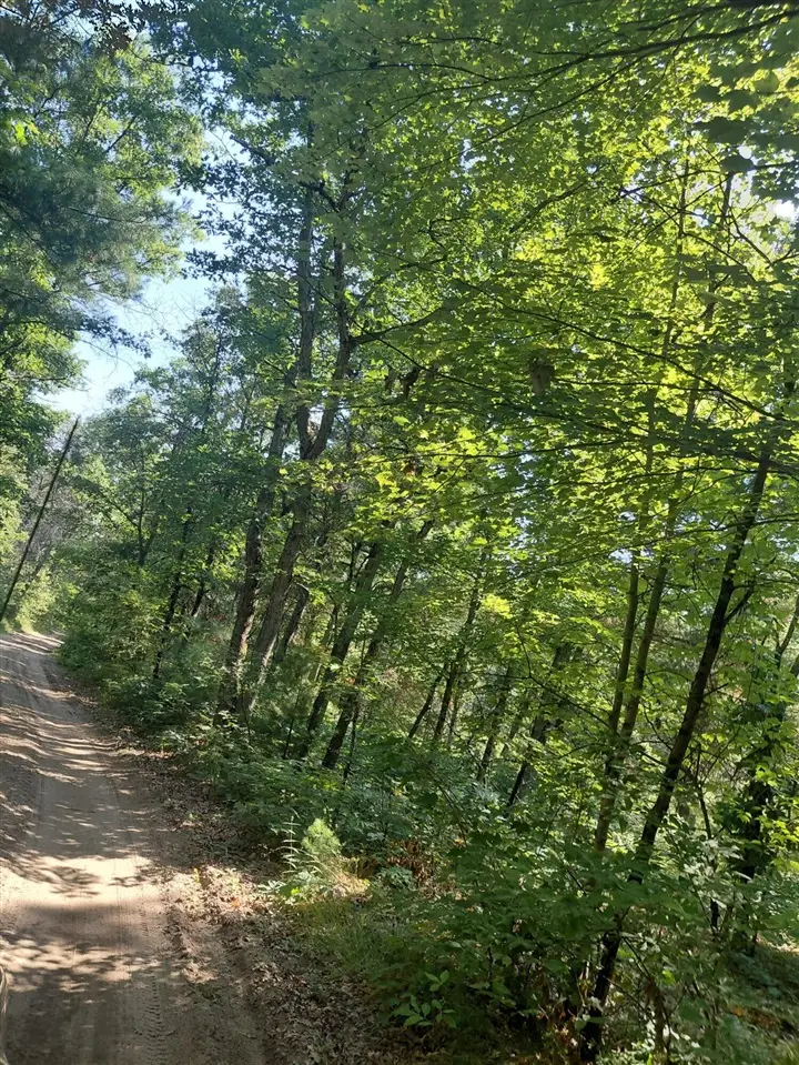 2807 Evergreen Dr, White Cloud, MI 49349 - #3