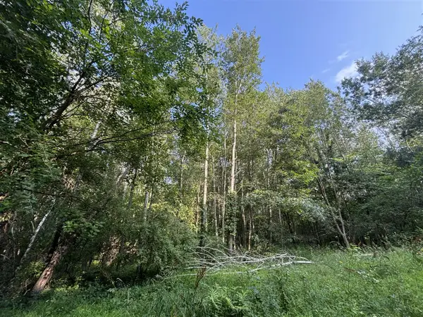 Jacob, Grass Lake, MI 49240