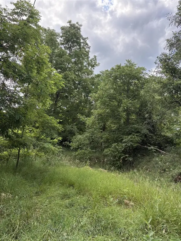 0 Rexford, Grass Lake, MI 49240