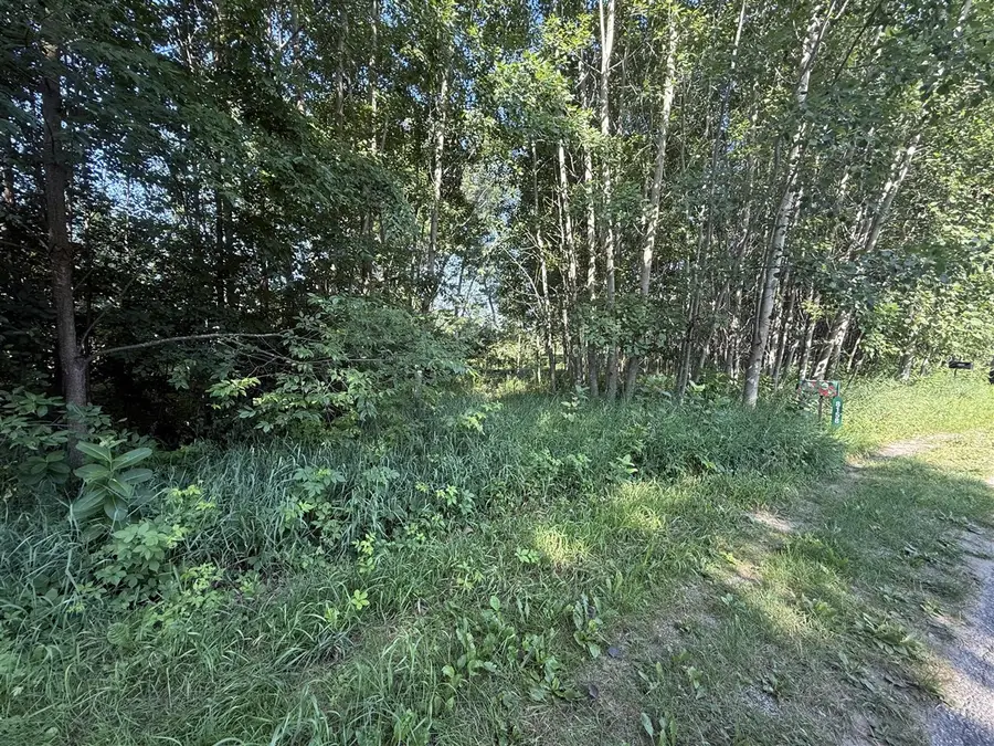 W Royal, Canadian Lakes, MI 49346 - #2