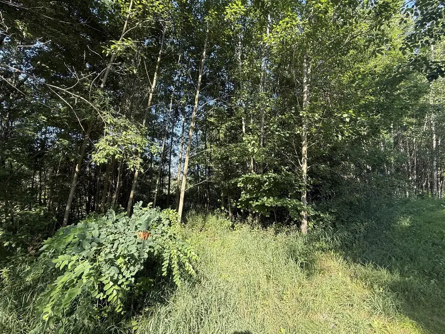 W Royal, Canadian Lakes, MI 49346 - #3