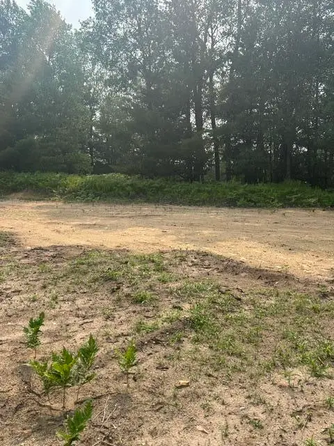 7893 S 220th, Reed City, MI 49677 - #3
