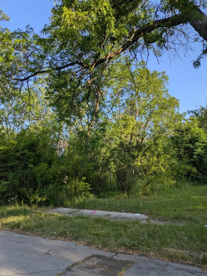 2660 W Forest, Detroit, MI 48208 - #1