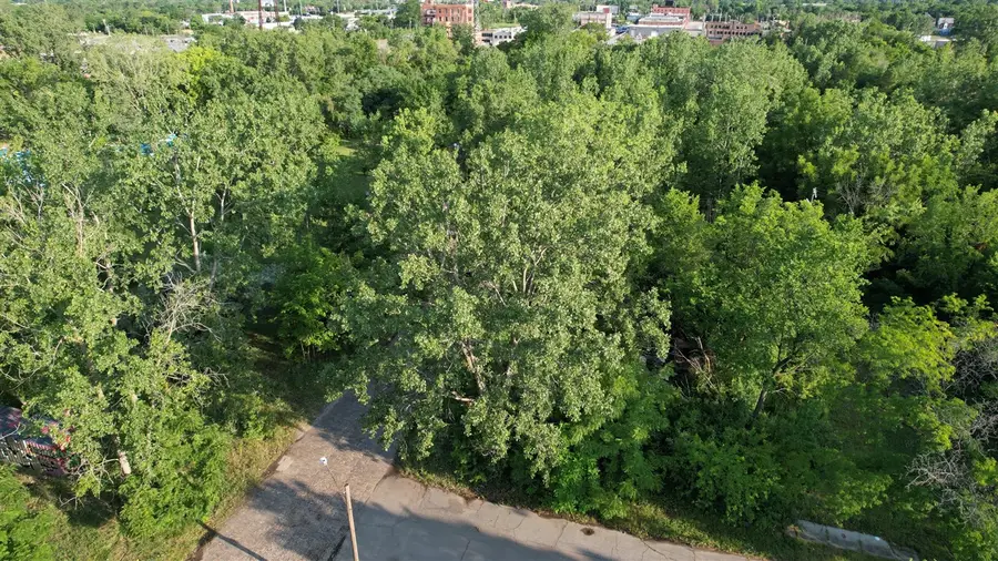 2660 W Forest, Detroit, MI 48208 - #2