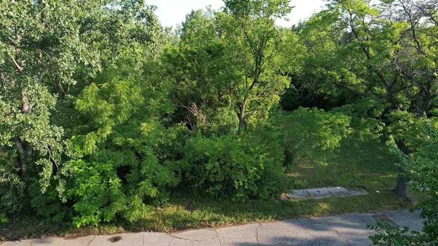 2660 W Forest, Detroit, MI 48208 - #3