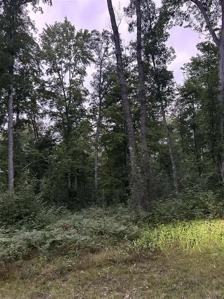 V/L Newcosta, Howard City, MI 49329 - #2
