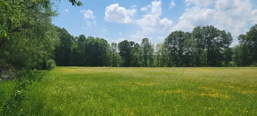 Kingsbury, Delton, MI 49046 - #2