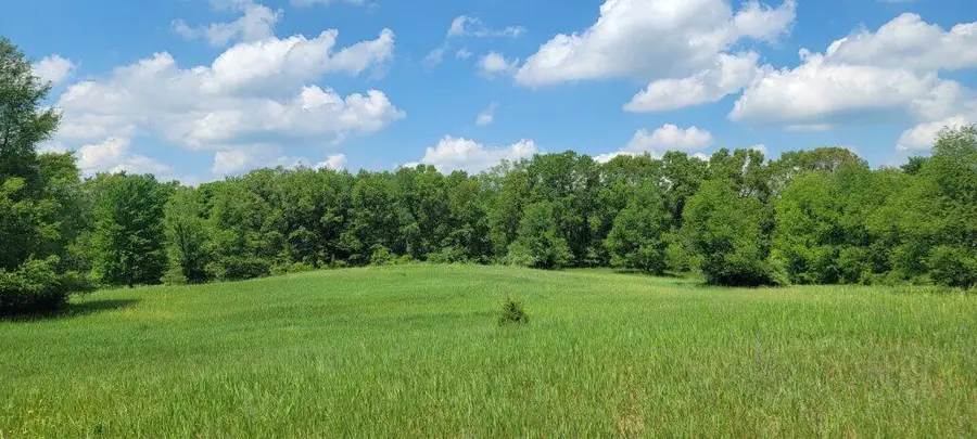 Kingsbury, Delton, MI 49046 - #2