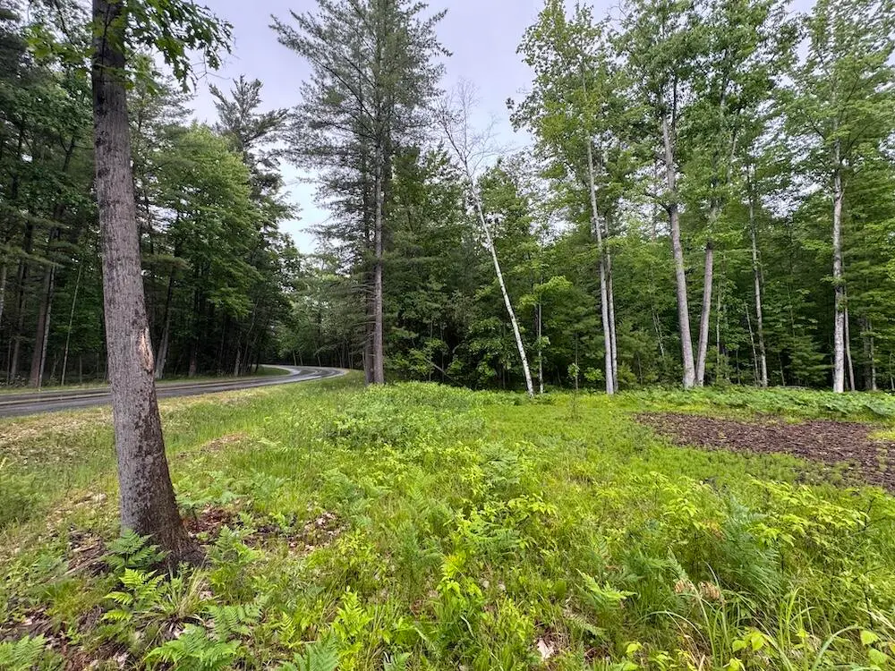 Pinecrest, Gladwin, MI 48624 - #1