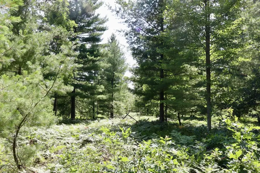 01 Down To Earth, Prescott, MI 48756 - #2