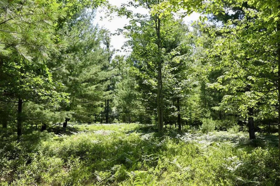 01 Down To Earth, Prescott, MI 48756 - #3