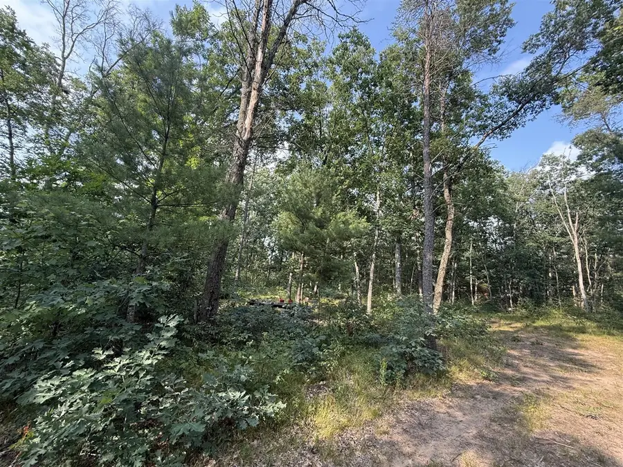 2668 W Moonflower, Baldwin, MI 49304 - #3