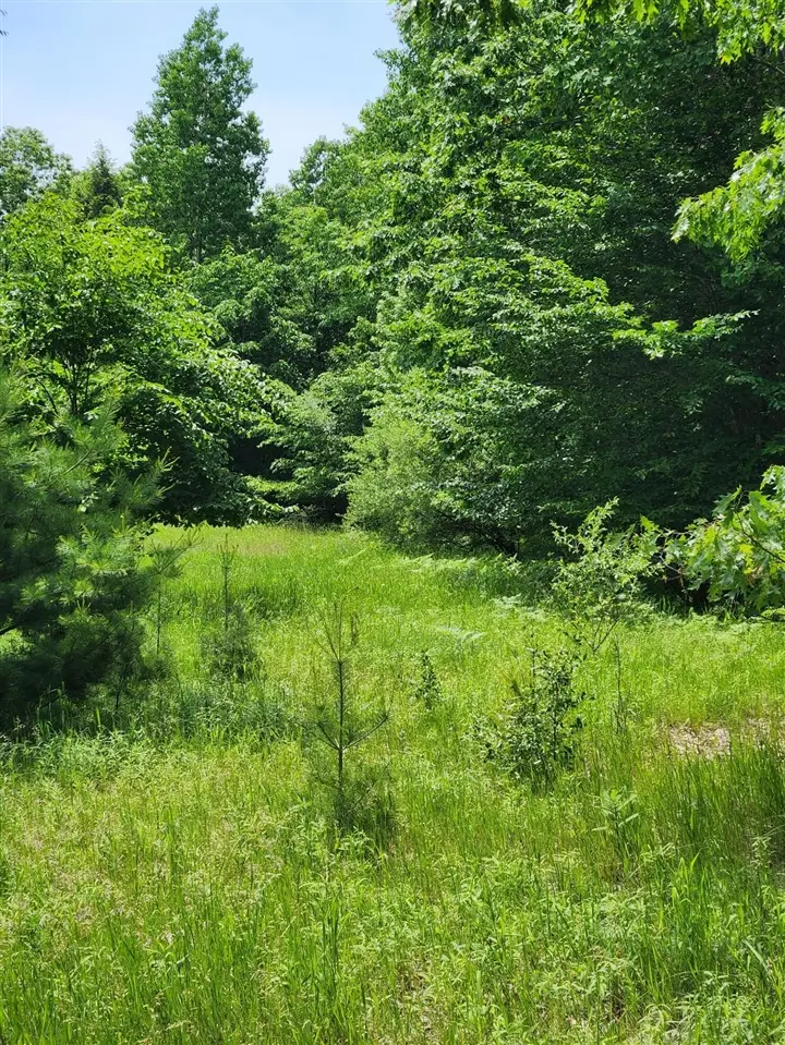 00 E Starlight Rdg, Onekama, MI 49675 - #1