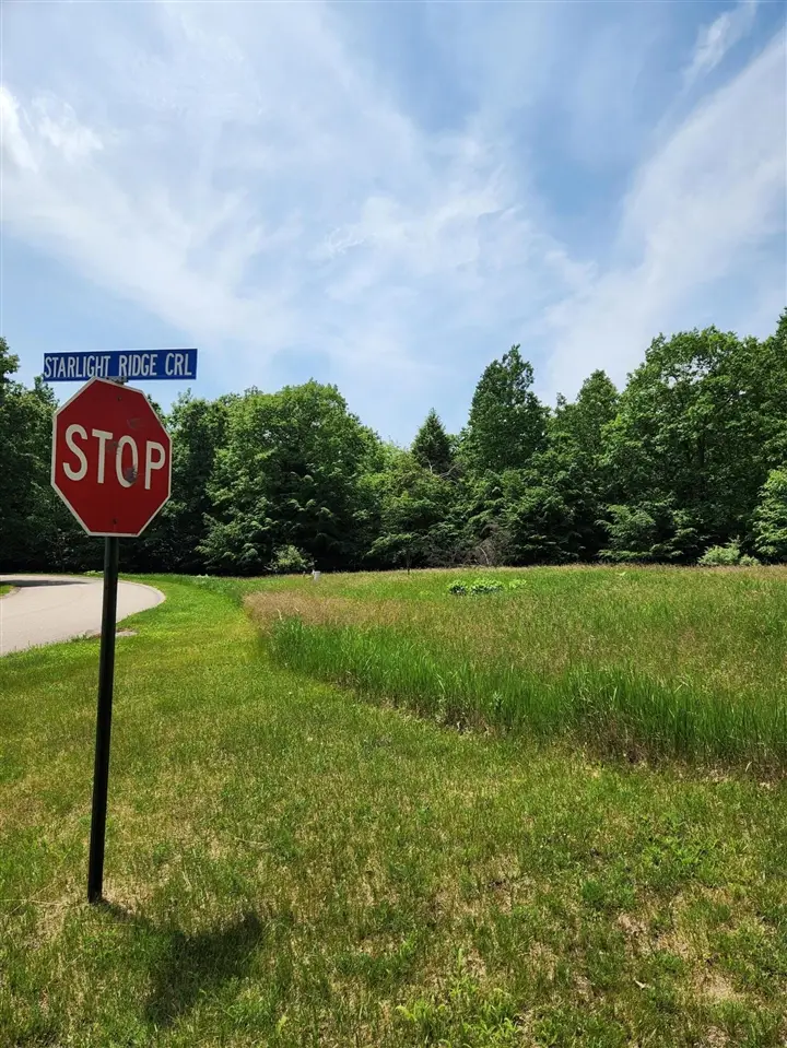 00 Opal Ridge, Onekama, MI 49675 - #2