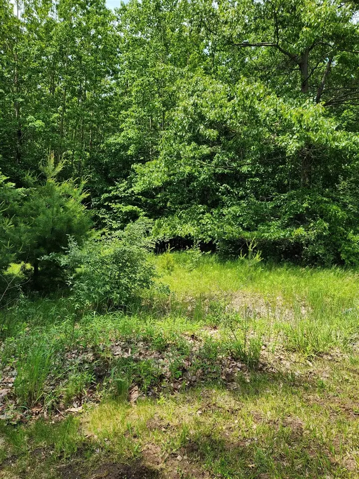 00 Opal Ridge, Onekama, MI 49675 - #3