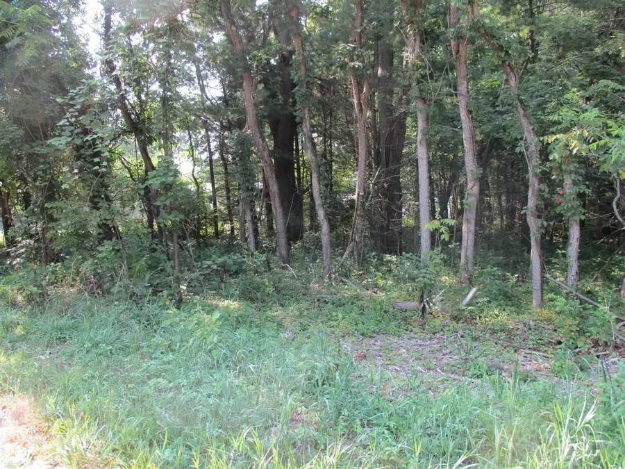 105th, Pullman, MI 49450 - #3