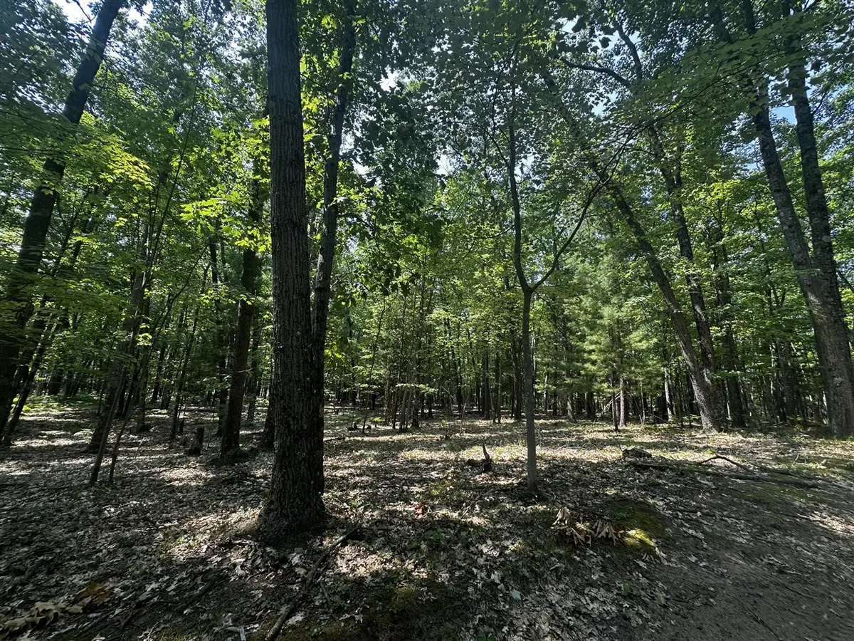 00 VL Deer Trail, Irons, MI 49644 - #1