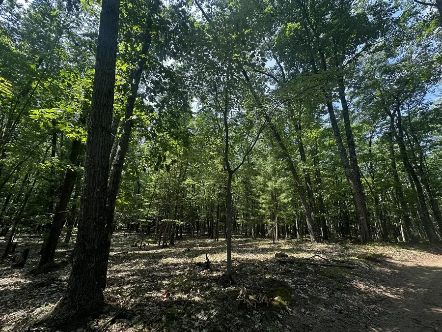 00 VL Deer Trail, Irons, MI 49644 - #2