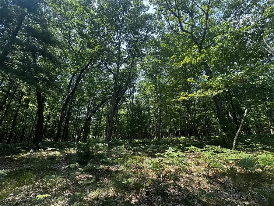 00 VL Deer Trail, Irons, MI 49644 - #3