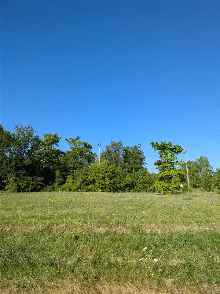 3803 Tillman, Detroit, MI 48208 - #1