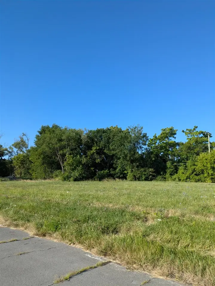 3803 Tillman, Detroit, MI 48208 - #2