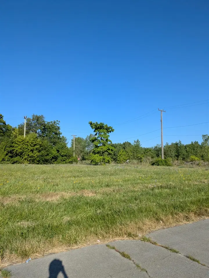 3803 Tillman, Detroit, MI 48208 - #3