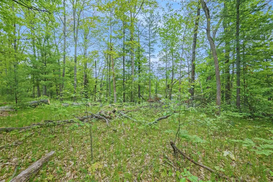 0 Tacoma Tacoma, Idlewild, MI 49642 - #3