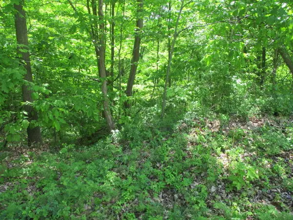 3670 Ohio, Coloma, MI 49038