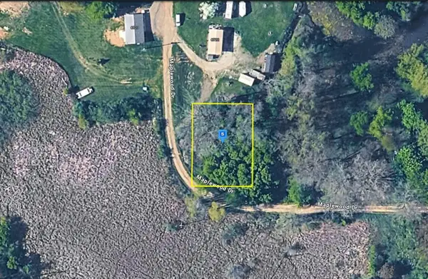 6720 Maplewood, Delton, MI 49046