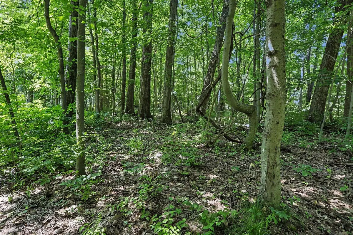 V/L Middle, Three Rivers, MI 49093 - #1